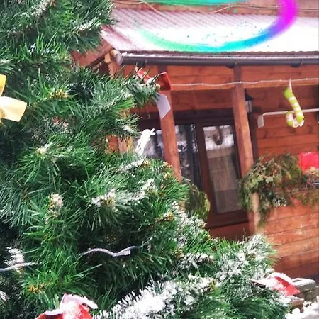 у карпатський чан Guest house