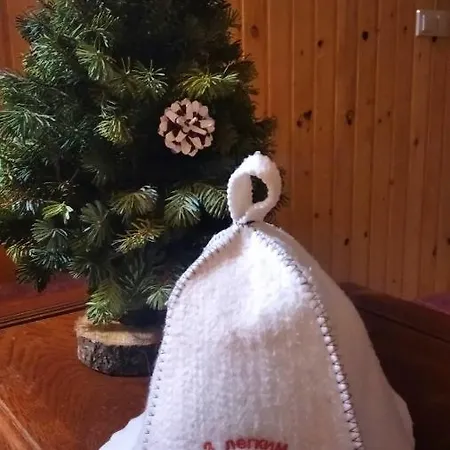 Guest house у карпатський чан
